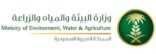 700 ألف وفاة سنوياً بسبب الاستخدام السيئ للمضادات