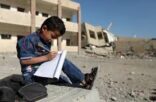 ميلشيا الحوثي الانقلابية تقضي على التعليم باليمن