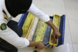 إحباط أكثر من 345 ألف حبة كبتاجون بجمرك الحديثة