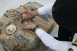 جمرك الحديثة يُحبط تهريب أكثر من مليون و352 ألف حبة كبتاجون