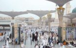 وصول 770491 حاجاً إلى المدينة المنورة