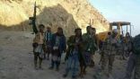 قوات الجيش اليمني تحرر جبل جالس الاستراتيجي شمال