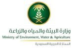 البيئة تطرح 101 وظيفة للسعوديين بمركز الملك عبد العزيز للخيل العربية بالرياض