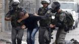القوات الإسرائيلية تعتقل أسيرًا فلسطينيًا محررًا من مخيم جنين