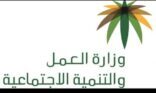 شمول 178 مركزاً لضيافة الأطفال بآلية الدعم ضمن برنامج ضيافة أطفال المرأة العاملة