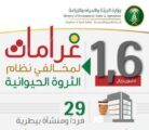 ١,٦ مليون ريال على مخالفين لنظام الثروة الحيوانية
