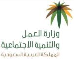 وزير العمل والتنمية الاجتماعية يعتمد انطلاق برنامج توثيق العقود إلكترونيًا