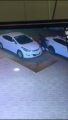 القبض على مواطن قام بسرقة مركبة متوقفة ودهس صاحبها بالرياض