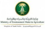 البيئة تدعو 142 متقدماً ومتقدمة على وظائفها لإجراء الاختبارات