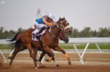 نادي الفروسية يطلق سباقات الخيل للمصيف بالطائف في اسبوعه الاول