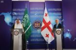 وزير الخارجية يلتقي وزير خارجية جورجيا ونائب رئيس البرلمان الجورجي