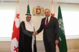 رئيس وزراء جورجيا يستقبل وزير الخارجية