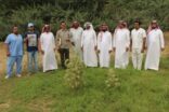 البيئة تنجح بمكافحة ديدان عضوية غير ضارة بقرى محافظة العارضة