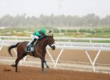 نادي الفروسية يقيم حفل سباقه الثالث عشر ضمن موسم سباقات الخيل للمصيف بالطائف