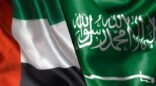 بيان مشترك صادر عن وزارة الخارجية في المملكة العربية السعودية ووزارة الخارجية والتعاون الدولي بالإمارات
