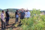 مزارعو الورد الطائفي يطلعون على تجربة بلغاريا بإنتاج الورد واستخداماته الطبية