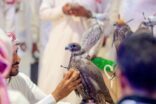 أكثر من ١٨٠ ألف زائر خلال 3 أيام في معرض الصقور والصيد السعودي بنسخته الثانية