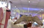 معرض الصقور والصيد السعودي ٢ يسدل الستار على فعالياته بحضور 304,256 زائراً وزائرة