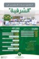 انطلاق حملات التشجير بالشرقية بزراعة 525 ألف شجرة