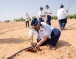البيئة تطلق المرحلة الخامسة لمبادرة أرض القصيم خضراء لزراعة 100 ألف شجرة