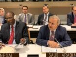 مندوب المملكة الدائم لدى الأمم المتحدة يشارك في اجتماع مجموعة منظمة التعاون الإسلامي في نيويورك