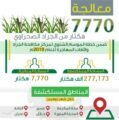 البيئة تكافح الجراد الصحراوي وتعالج 7770 في عدد من المناطق