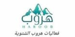 معرض فني يصاحب فعاليات هروب سحر الجنوب2