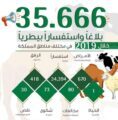 البيئة : 35.6 ألف بلاغ واستفسار بيطري خلال 2019