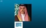 وزير الخارجية يصل إلى القاهرة