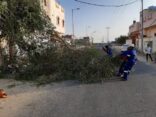 بلدية غميقة بمحافظة الليث تواصل جهودها في مكافحة التشوه البصري