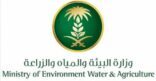 البيئة تناقش تأهيل مقدمي خدمات مكافحة سوسة النخيل