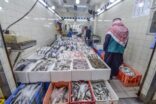 البيئة تضبط 1 طن و470 كيلو من الأسماك الفاسدة ومجهولة المصدر في الرياض