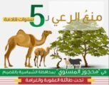 البيئة تمنع الرعي بمحجوز المستوي بمحافظة الشماسية بالقصيم لـ 5 سنوات قادمة