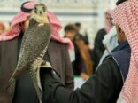 مهرجان الصقور بالحدود الشمالية.. ملتقى الصقارين في المملكة ودول الخليج