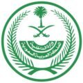 من صباح السبت ولمدة 14 يوم تعليق رحلات الطيران الداخلي والقطارات وسيارات الأجرة والحافلات