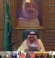 خادم الحرمين الشريفين يرأس قمة العشرين الإستثنائية الإفتراضية
