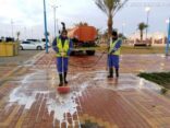 أمانة الجوف وبلدياتها تكثف أعمال الإصحاح البيئي والتعقيم للمواقع العامة والأسواق والشوارع