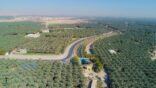 تسجيل الأنشطة ذات الطبيعة التجارية أو الصناعية أو الترفيهية بواحة الأحساء الكترونياً