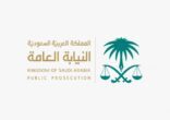 اختتام دورة التحقق من أدلة الاحتيال المالي عبر اكاديمية النيابة العامة عن بُعد