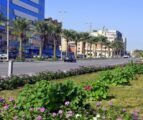 بلدية الخبر تدعو المواطنين للمشاركة في تصميم تطوير شارع زيد بن الخطاب