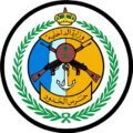 إحباط تهريب أكثر من طنين من الحشيش المخدر وما يزيد عن ثلاثة أطنان من القات خلال شهر رمضان