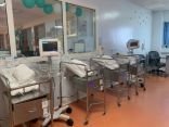 53 حالة ولادة بمستشفيات التجمع الصحي الأول خلال العيد بالشرقية