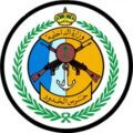 حرس الحدود بمنطقة تبوك ينقذ طفلة من الغرق