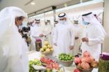 الفضلي يدشِّن المرحلة الثانية من مبادرة تأهيل المدرجات الزراعية بالجنوب الغربي من المملكة