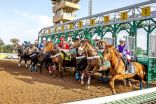 ميدان الفروسية بالمدينة المنورة يقيم الحفل الثاني عشر لسباقات الخيل.. غداً