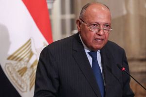وزير الخارجية المصري: الوضع الراهن في الأراضي الفلسطينية المحتلة نتاج لسياسات الاحتلال الإسرائيلي