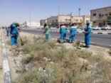 بلدية الجبيل رفع 20 طن نفايات ضمن جهودها في معالجة التشوهات البصري