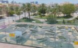 تنفيذ المنتزه البيئي بالجبيل لتعزيز الاستدامة وتجويد الحياة