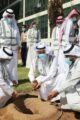 البيئة تطلق حملة لنجعلها خضراء في 165 موقعا لزراعة 10 ملايين شجرة