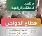إيداع أكثر من 57 مليون ريال في حسابات مشاريع تربية الدواجن ضمن برنامج الإعانات الزراعية
